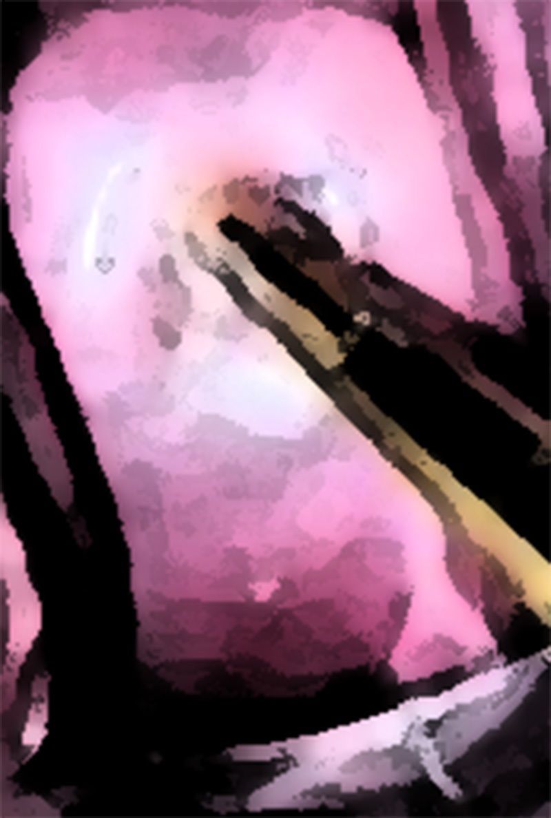 サンプル画像4:私の蟲姦遊び 第14話 妊娠中にカマキリと寄生虫ハリガネムシ編(シングルママの日常) [d_296681]