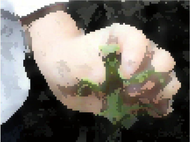 サンプル画像6:私の蟲姦遊び 第14話 妊娠中にカマキリと寄生虫ハリガネムシ編(シングルママの日常) [d_296681]