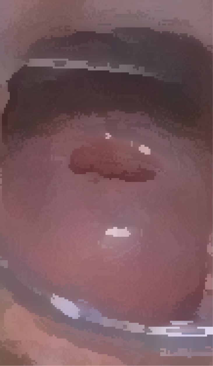 サンプル画像3:私の蟲姦遊び 第15話 妊娠中にムカデとムカデの卵編(シングルママの日常) [d_297562]