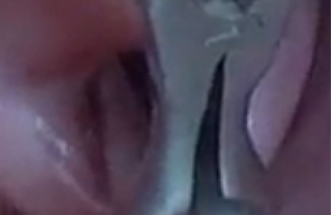 サンプル画像4:私の蟲姦遊び 第15話 妊娠中にムカデとムカデの卵編(シングルママの日常) [d_297562]