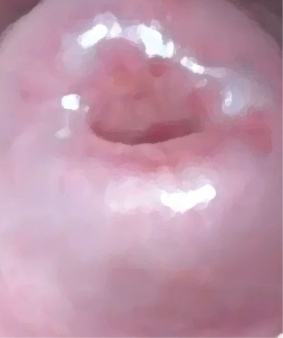 サンプル画像5:私の蟲姦遊び 第15話 妊娠中にムカデとムカデの卵編(シングルママの日常) [d_297562]