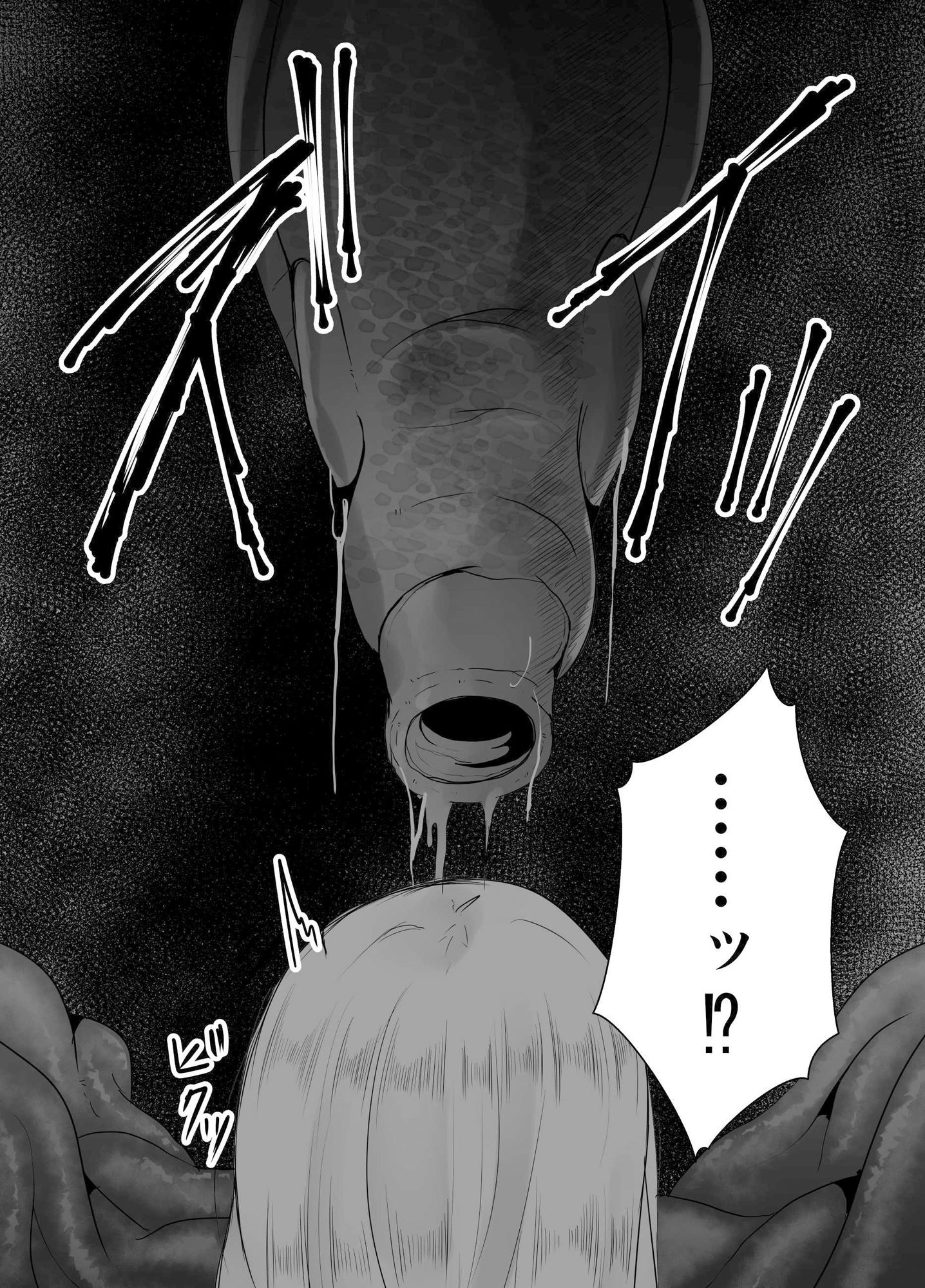 苗床