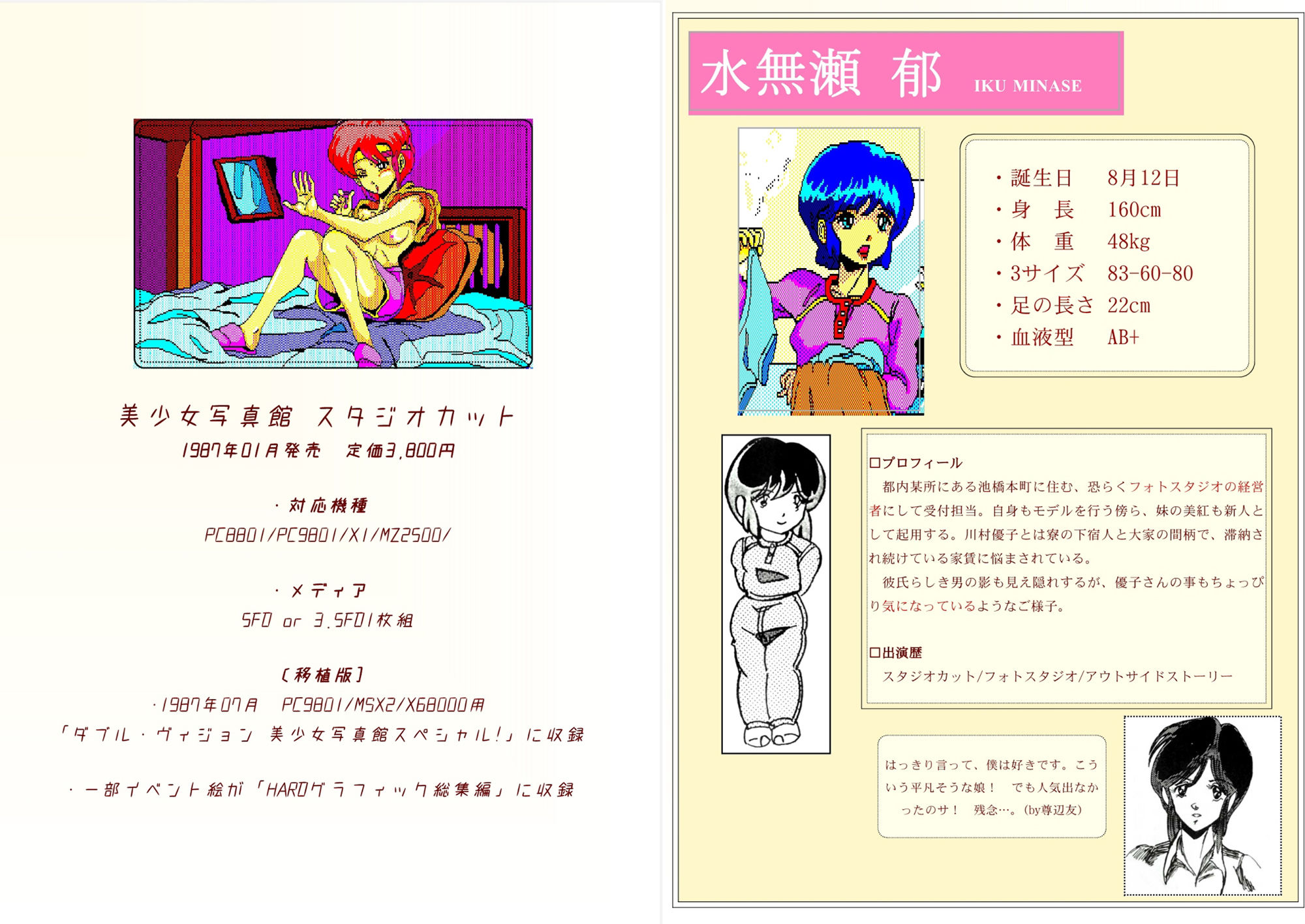 サンプル画像1:美少女写真館公式ガイドブック(HARD) [d_300618]