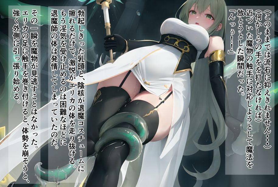 サンプル画像5:煌天淫樂I エリカ敗辱編(些なり) [d_301655]