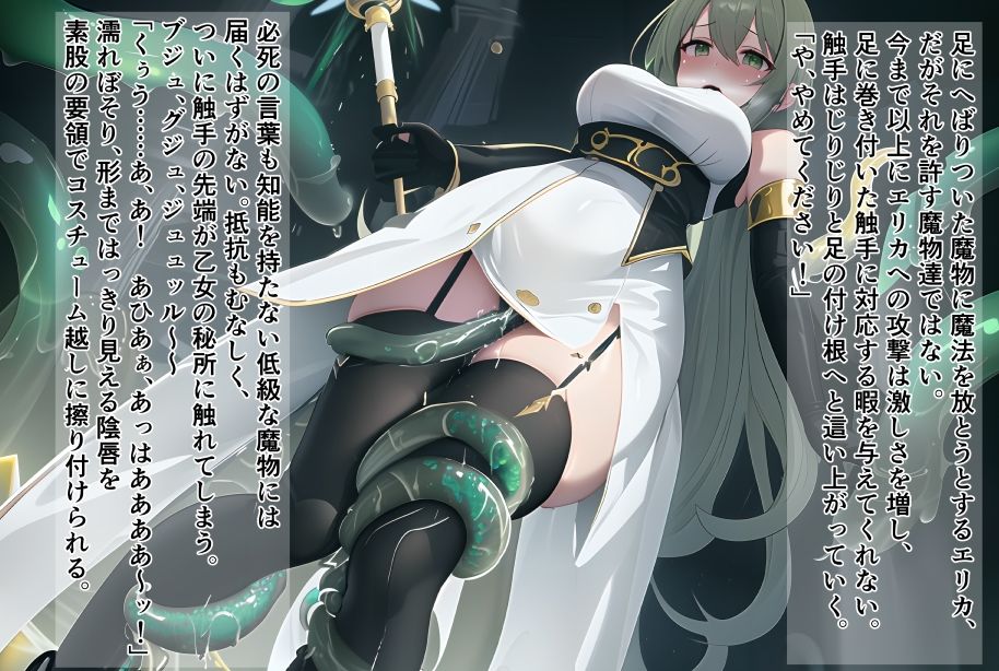 サンプル画像6:煌天淫樂I エリカ敗辱編(些なり) [d_301655]