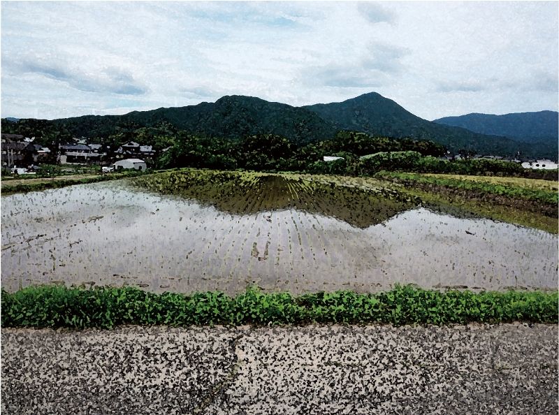 サンプル画像1:私の蟲姦遊び 第16 話 妊娠中にオオキベリアオゴミムシ編(シングルママの日常) [d_302436]