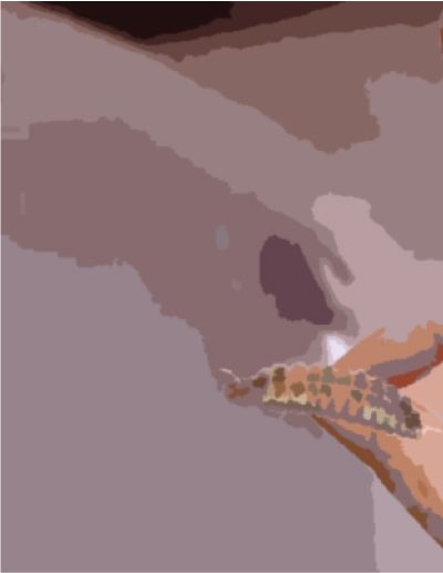 サンプル画像3:私の蟲姦遊び 第16 話 妊娠中にオオキベリアオゴミムシ編(シングルママの日常) [d_302436]