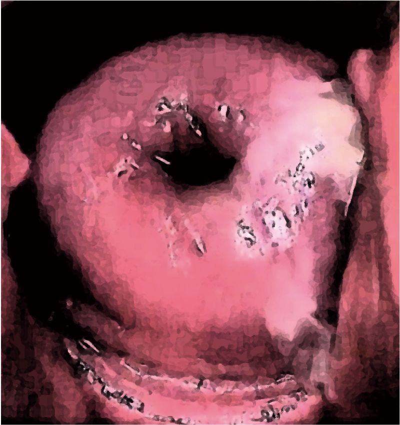 サンプル画像4:私の蟲姦遊び 第16 話 妊娠中にオオキベリアオゴミムシ編(シングルママの日常) [d_302436]