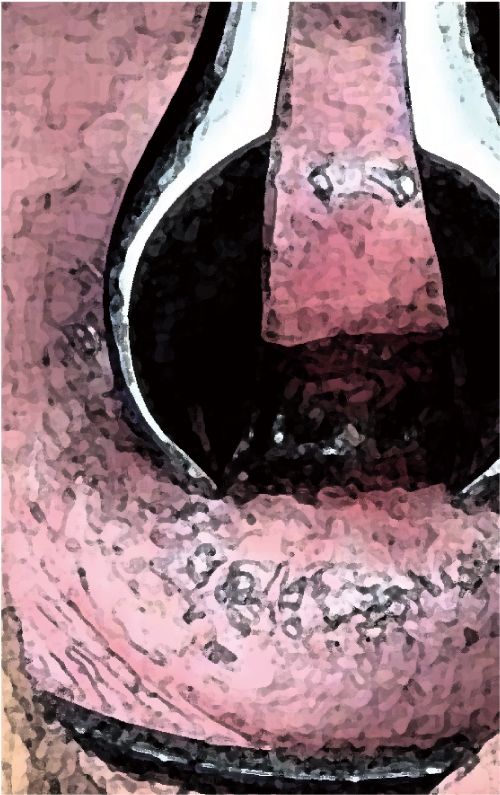 サンプル画像5:私の蟲姦遊び 第16 話 妊娠中にオオキベリアオゴミムシ編(シングルママの日常) [d_302436]