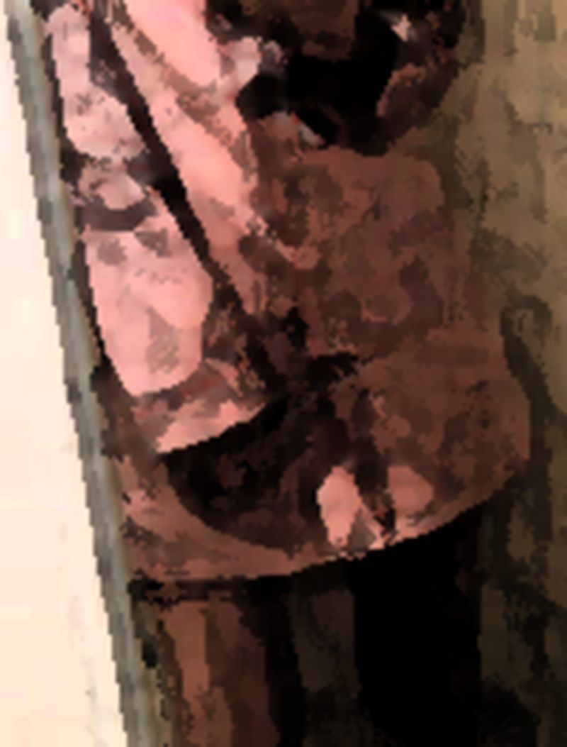 サンプル画像2:私の蟲姦遊び 17 話 妊娠中にスズメガのサナギ編(シングルママの日常) [d_306916]