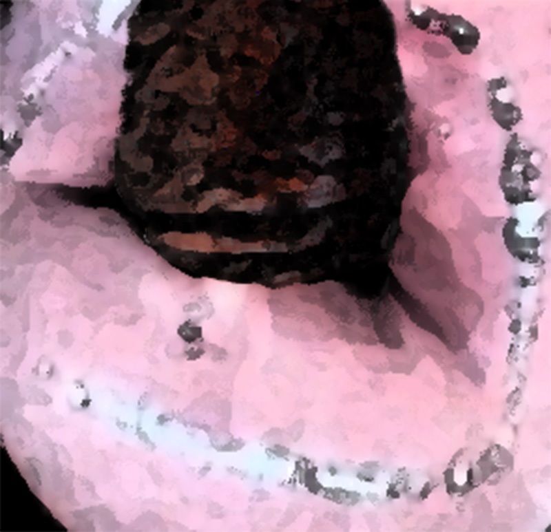 サンプル画像3:私の蟲姦遊び 17 話 妊娠中にスズメガのサナギ編(シングルママの日常) [d_306916]