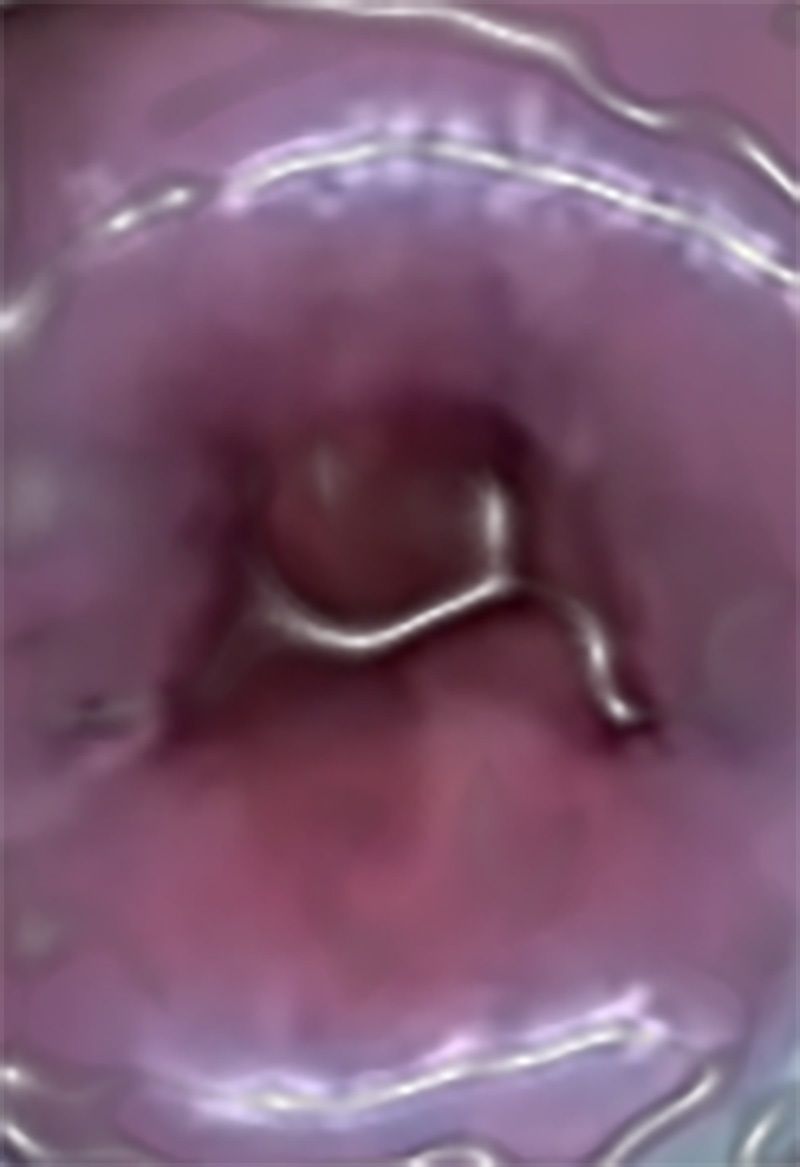 サンプル画像5:私の蟲姦遊び 17 話 妊娠中にスズメガのサナギ編(シングルママの日常) [d_306916]