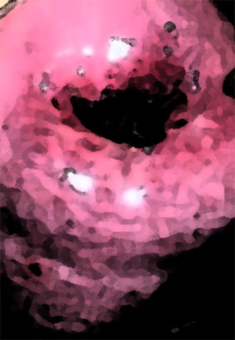 サンプル画像6:私の蟲姦遊び 17 話 妊娠中にスズメガのサナギ編(シングルママの日常) [d_306916]