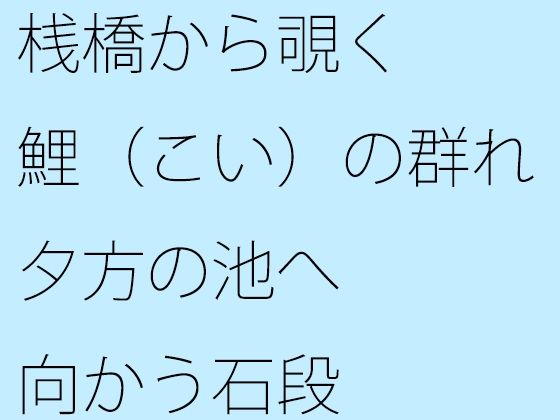 【無料】桟橋から覗く鯉（こい）の群れ 夕方の池へ向かう石段 | Baked Strontium