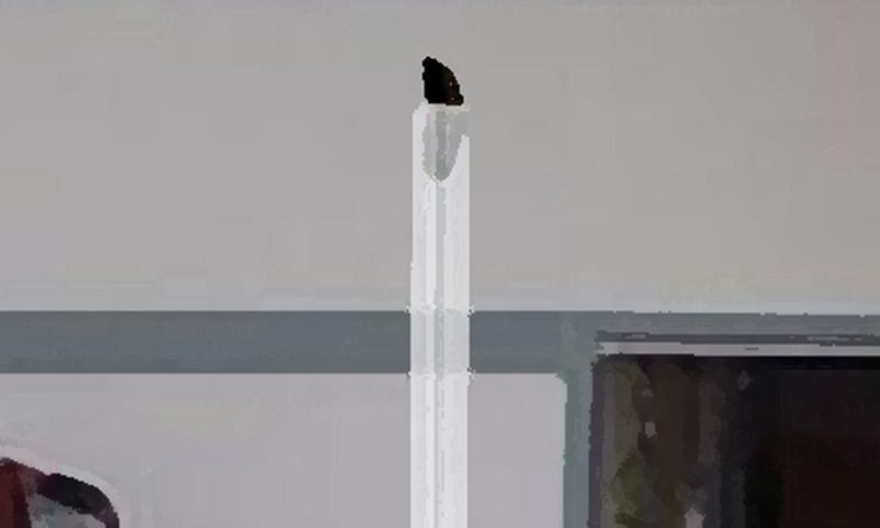 サンプル画像2:私の蟲姦遊び 18話 妊娠中に5 匹のミズアブの幼虫編(シングルママの日常) [d_308962]