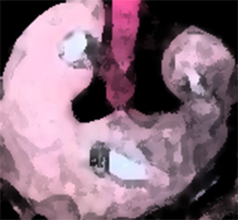 サンプル画像5:私の蟲姦遊び 18話 妊娠中に5 匹のミズアブの幼虫編(シングルママの日常) [d_308962]