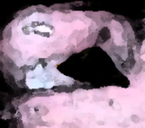 サンプル画像6:私の蟲姦遊び 18話 妊娠中に5 匹のミズアブの幼虫編(シングルママの日常) [d_308962]