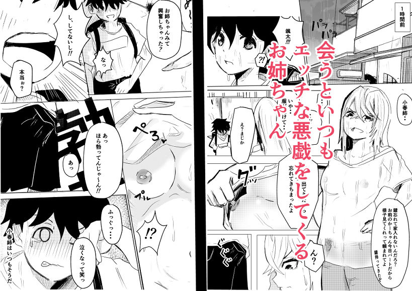 サンプル画像1:お姉ちゃんは僕のもの(わらび餅) [d_309024]