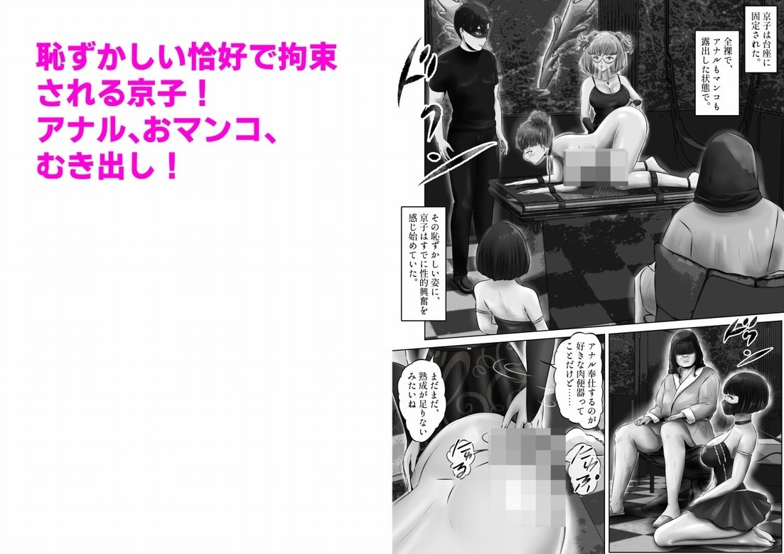 サンプル画像5:不倫人妻調教物語 杉原京子編（5）(窪リオンの部屋) [d_311928]