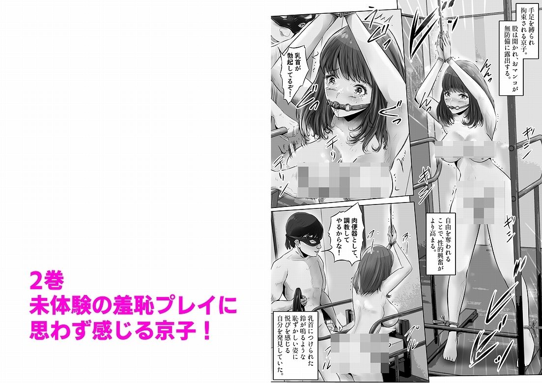 サンプル画像4:不倫人妻調教物語 杉原京子編 まとめ（1）(窪リオンの部屋) [d_312171]