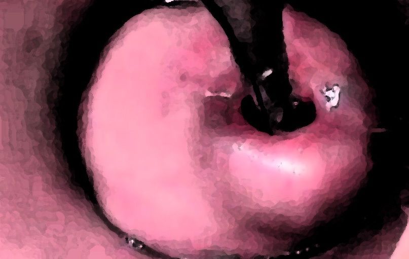 サンプル画像3:私の蟲姦遊び 19話 妊娠中に2匹のゴキブリの幼虫編(シングルママの日常) [d_313590]