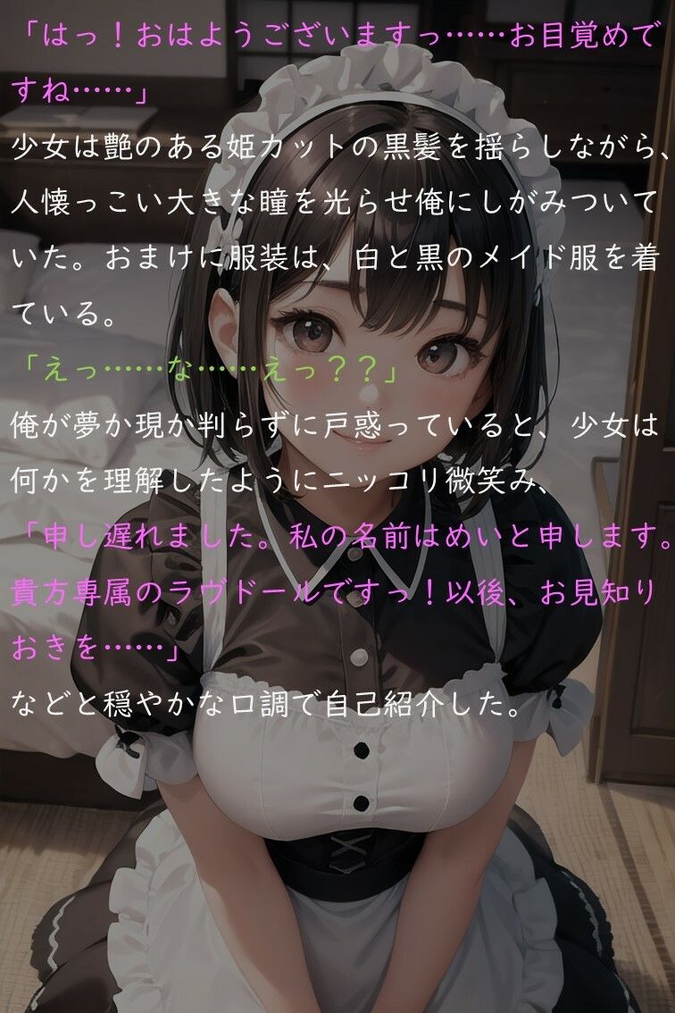 サンプル画像3:ラヴドールめいと俺の膣内チェリー物語(ロリかわいい大好き) [d_316017]