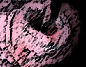 サンプル画像5:私の蟲姦遊び 20 話 妊娠中に5匹のワラジムシ編(シングルママの日常) [d_316599]