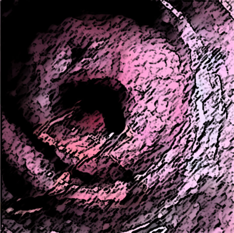 サンプル画像6:私の蟲姦遊び 20 話 妊娠中に5匹のワラジムシ編(シングルママの日常) [d_316599]