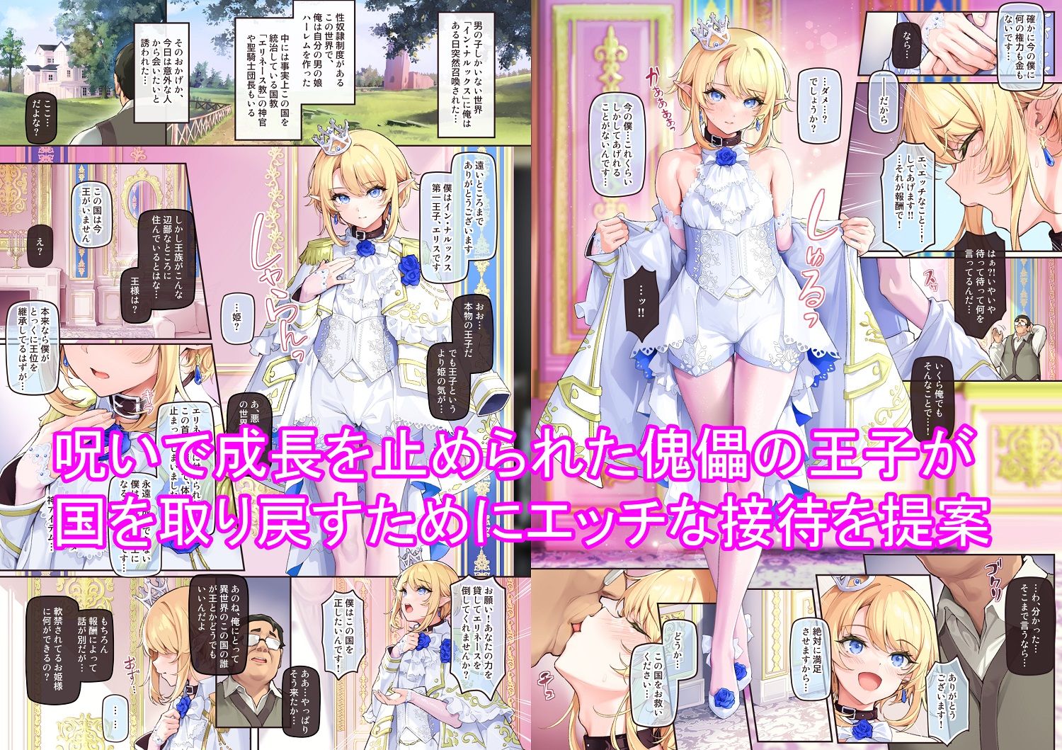 サンプル画像1:異世界オトコノコ王子従順隷奴〜呪いで成長が止まった王子を弄びメス堕ちさせる〜(新生フロンティア（新生ロリショタ）) [d_316793]