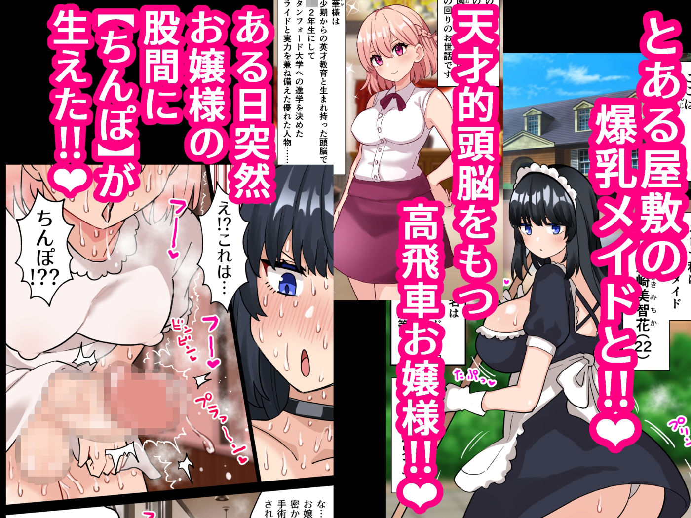 サンプル画像1:24時間オホ声動物交尾の館〜ふたなりお嬢様が爆乳メイドにちんぽ管理される話〜(ほたほーむ) [d_321487]