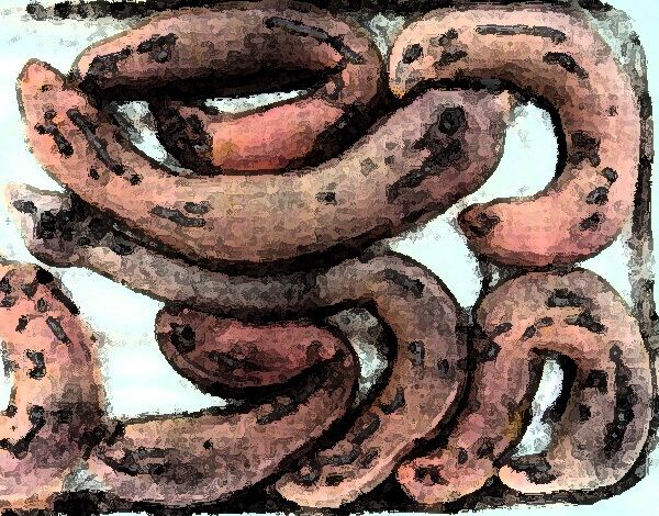 サンプル画像2:私の蟲姦遊び 21 話 妊娠中に3匹のユムシ編 全編(シングルママの日常) [d_322947]