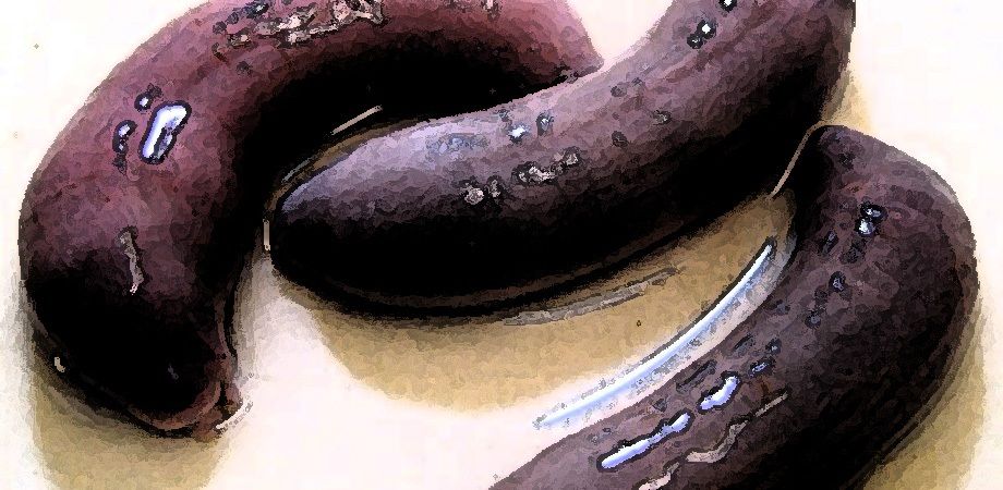 サンプル画像3:私の蟲姦遊び 21 話 妊娠中に3匹のユムシ編 全編(シングルママの日常) [d_322947]