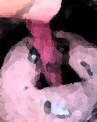 サンプル画像3:私の蟲姦遊び 22話 妊娠中にハサミムシ編 全編(シングルママの日常) [d_323965]