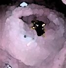 サンプル画像5:私の蟲姦遊び 22話 妊娠中にハサミムシ編 全編(シングルママの日常) [d_323965]