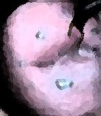 サンプル画像6:私の蟲姦遊び 22話 妊娠中にハサミムシ編 全編(シングルママの日常) [d_323965]