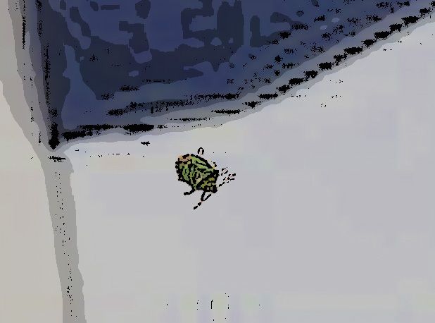 サンプル画像1:私の蟲姦遊び 23話 妊娠中に1匹のカメムシ編 全編(シングルママの日常) [d_325049]