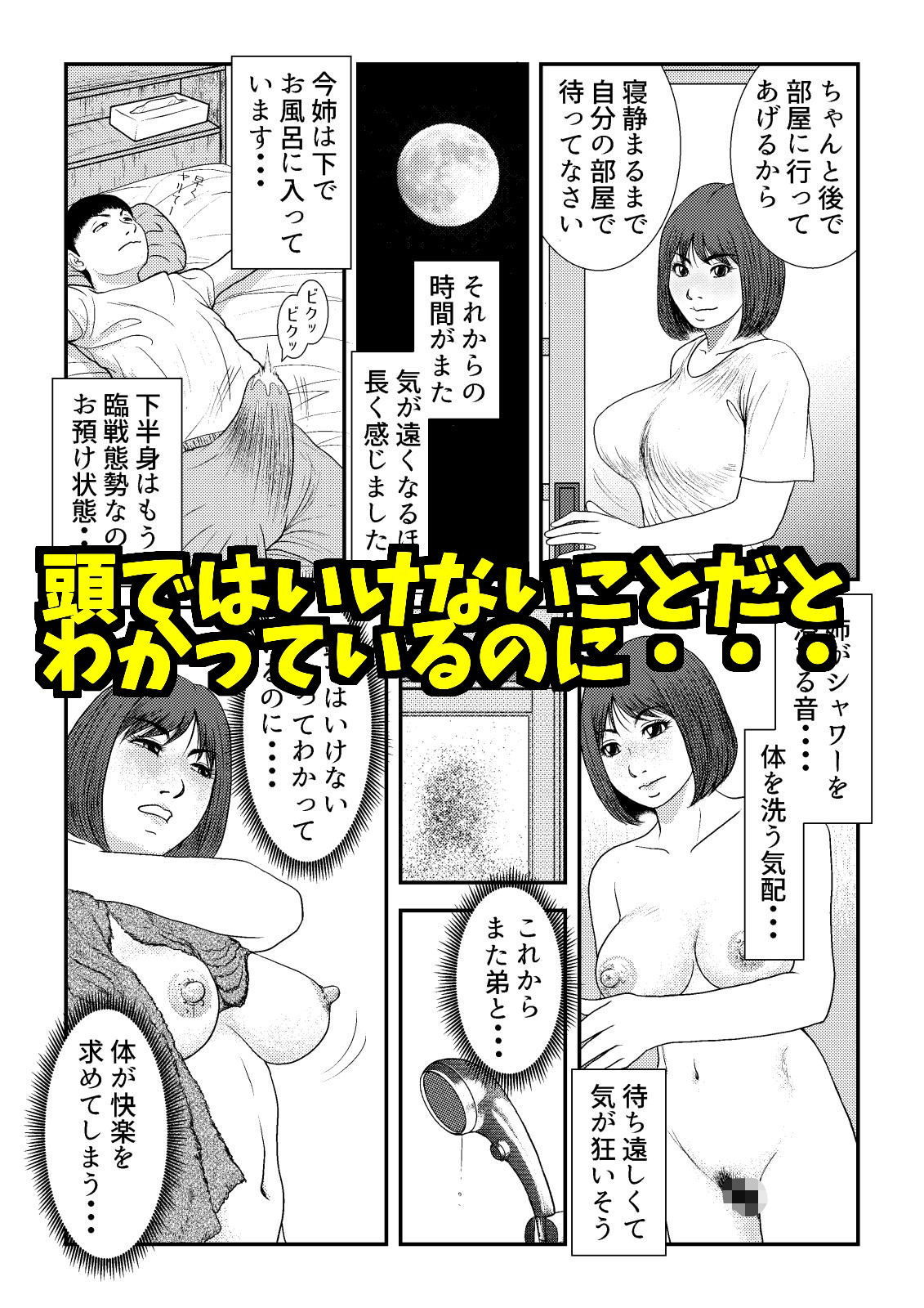 サンプル画像4:その後の酒屋姉弟(Small House) [d_325089]