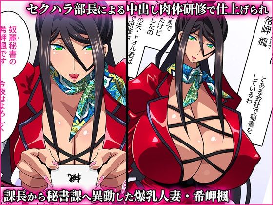 サンプル画像1:希岬楓 2 -爆乳人妻秘書の中出し肉体接待/媚薬潮吹き射乳アクメ-(スタジオみずよーかん) [d_325679]