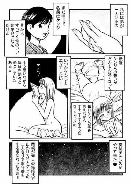 サンプル画像2:ブラコン(ナンネット) [d_328708]