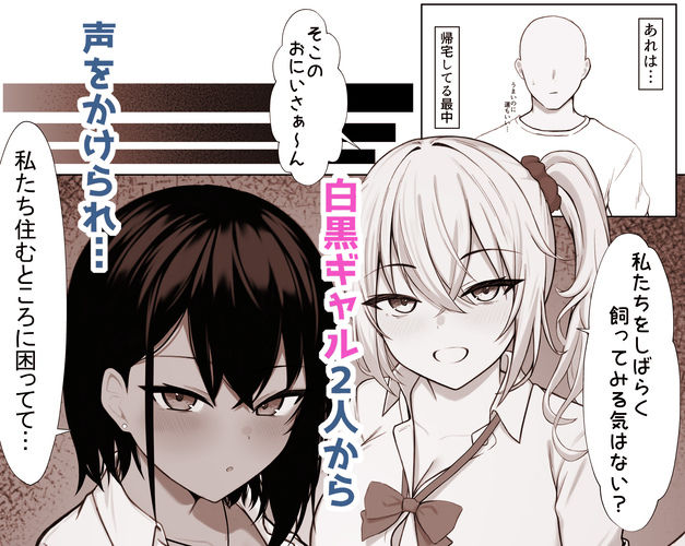 サンプル画像1:ギャルとの共同性活〜ギャル飼ってみませんか？〜(なんの丸屋) [d_330055]