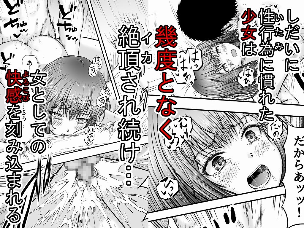 サンプル画像6:マンスリー・セックスサポート・プログラム 寄付交際 -小牧 遥の場合-(宇宙全体の約70％) [d_330462]