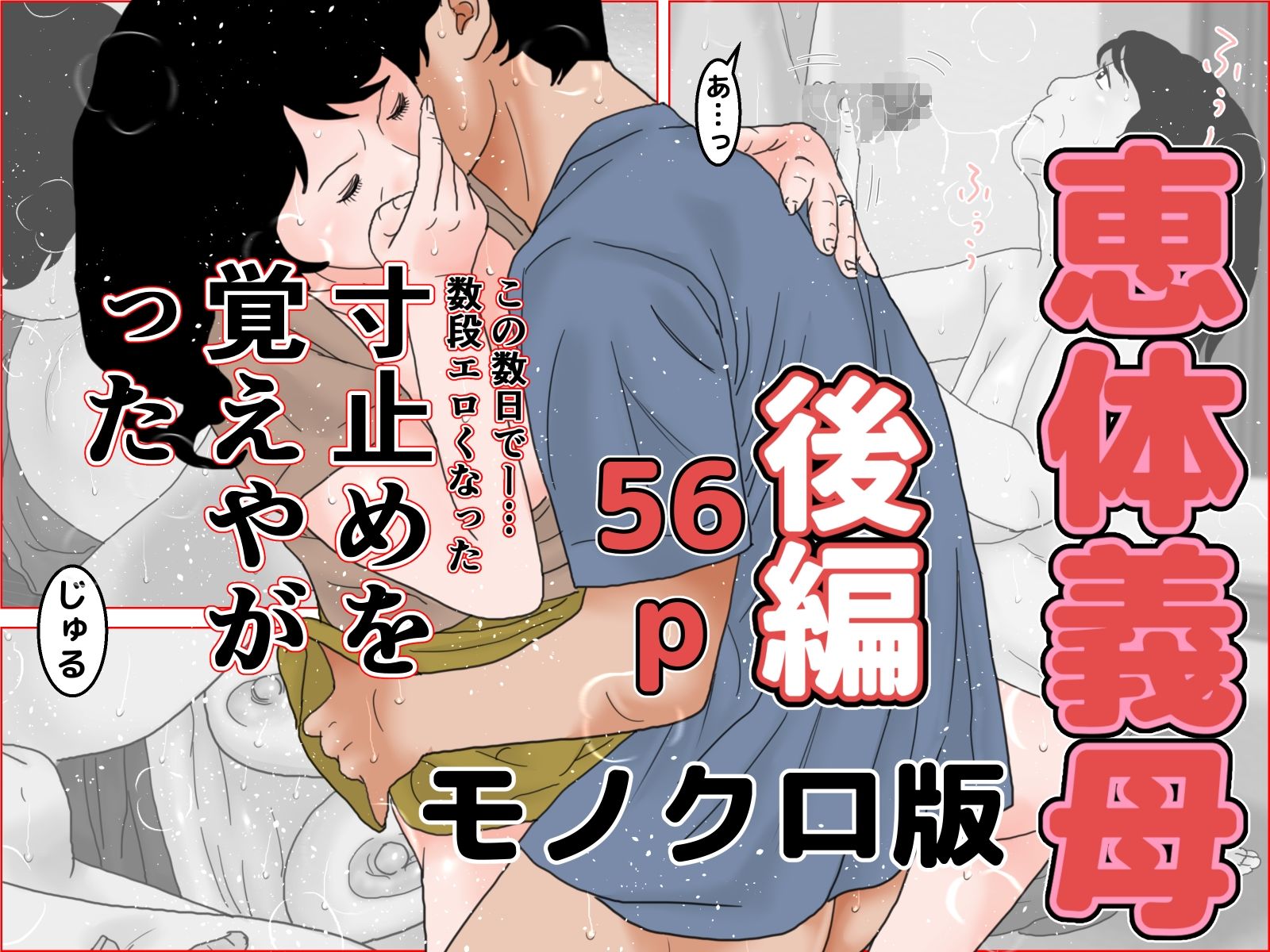 サンプル画像3:恵体義母 モノクロバージョン(干し椎茸) [d_332424]