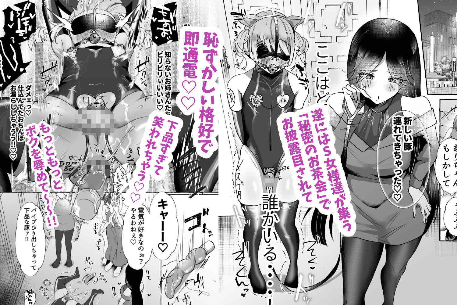 サンプル画像5:しおん100％♀ 可愛いボクが無様メス豚奴●にされるまでの記録(たのしいすいぞくかん) [d_334050]