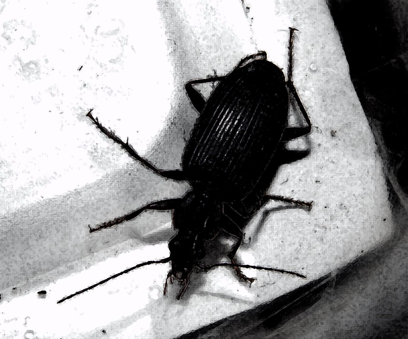 サンプル画像1:私の蟲姦遊び 25話 妊娠中にベランダにいたゴミムシ編(シングルママの日常) [d_334202]