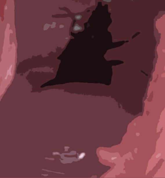 サンプル画像3:私の蟲姦遊び 25話 妊娠中にベランダにいたゴミムシ編(シングルママの日常) [d_334202]