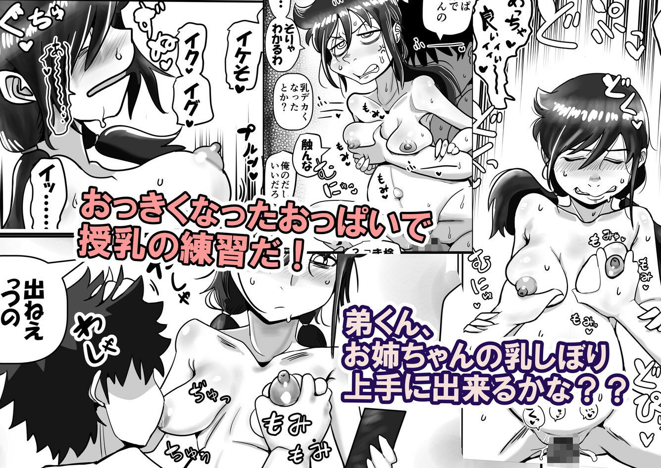 サンプル画像3:智こキ 妊婦諦念編 私はモテないけど弟との愛も合意もないHで妊娠し法律で許された中絶可能週数すら超過して人生詰んだけどやっぱり私が悪いの？（泣き声）(裏モニン) [d_336544]