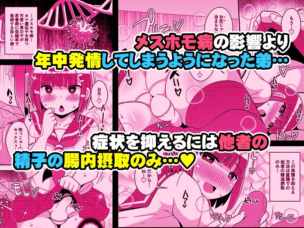 サンプル画像1:発情弟（オカマ）の性処理係(CHINZURI BOP) [d_336704]