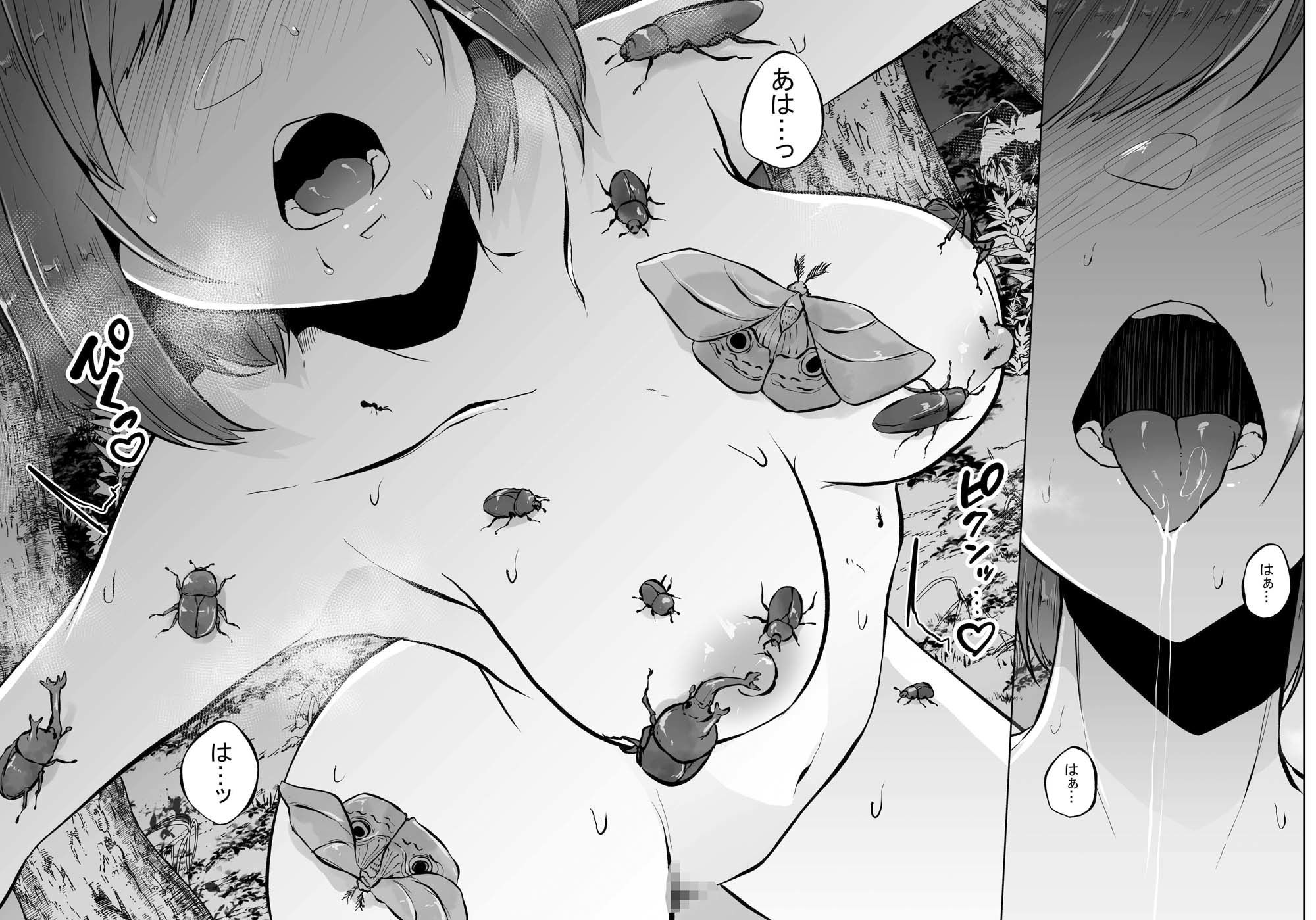 暑蟲見舞い