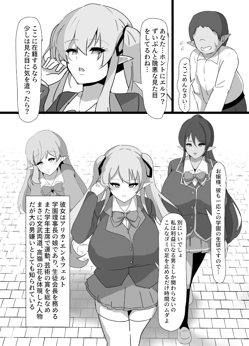 サンプル画像2:高潔エルフメス堕ち(ココナッツみるく) [d_347020]