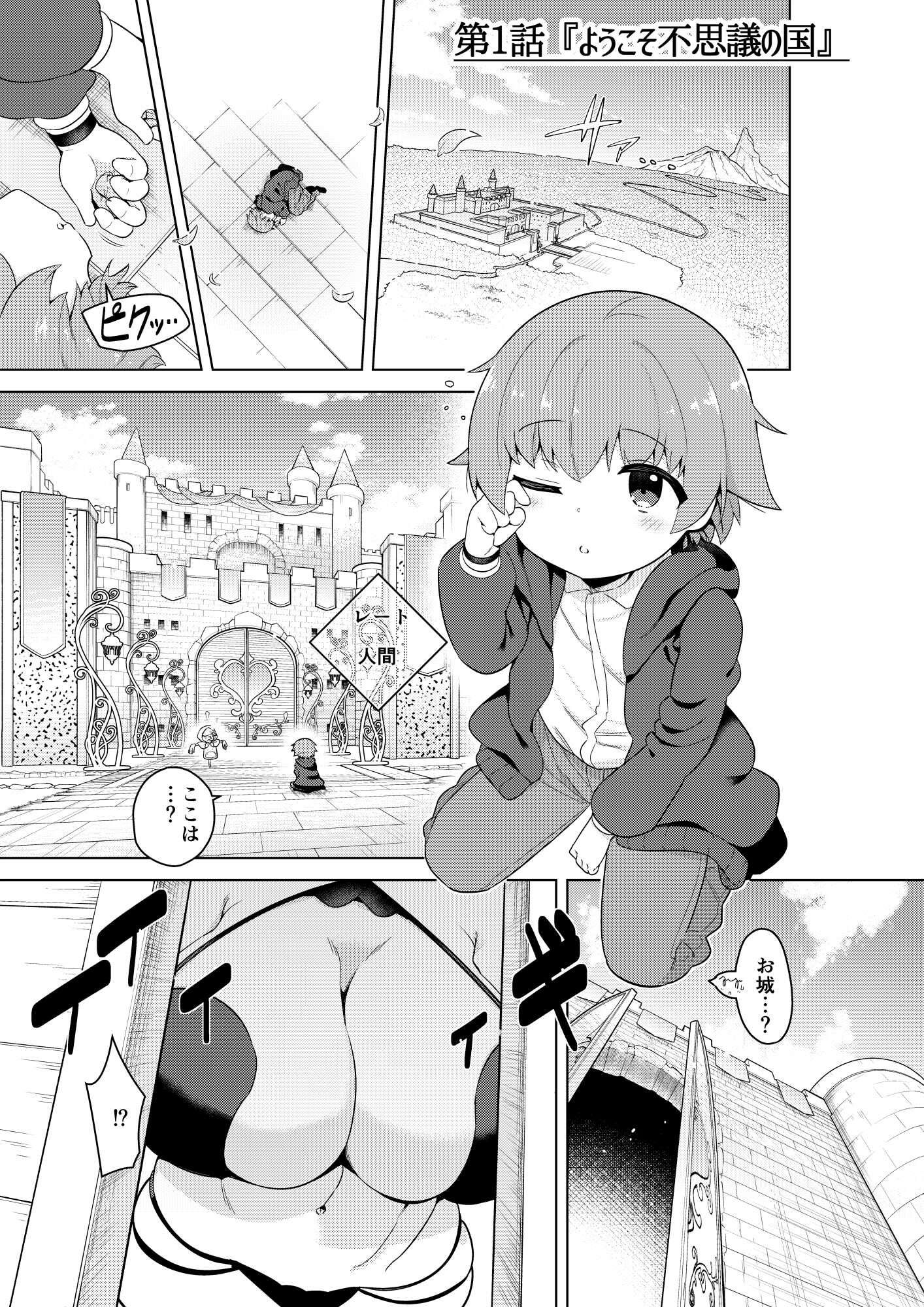 サンプル画像2:不思議の国のサキュバス コミカライズ！第1巻(むに工房) [d_356147]